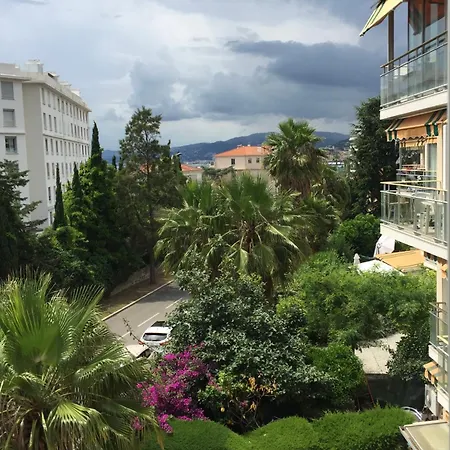 Mimosa Croisette