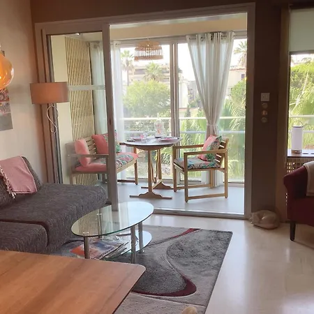Mimosa Croisette *
