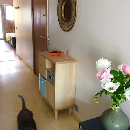 Mimosa Croisette 아파트